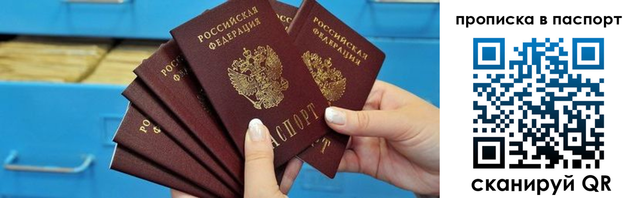 прописка в Дорогобуже