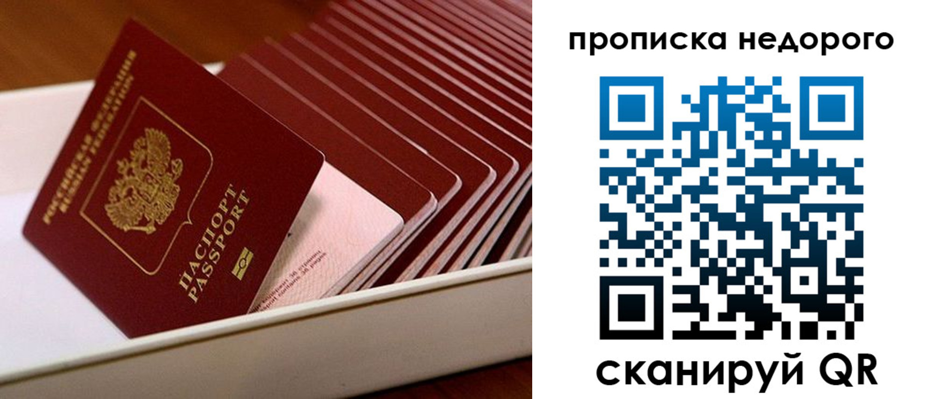 прописка паспорт в Дорогобуже